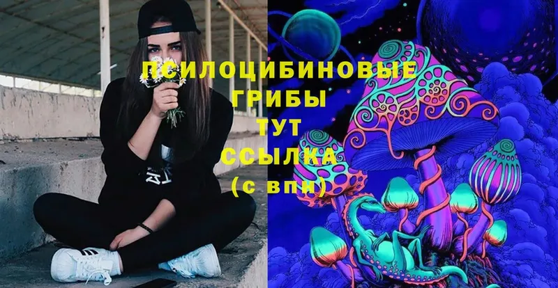 Галлюциногенные грибы Cubensis  Еманжелинск 